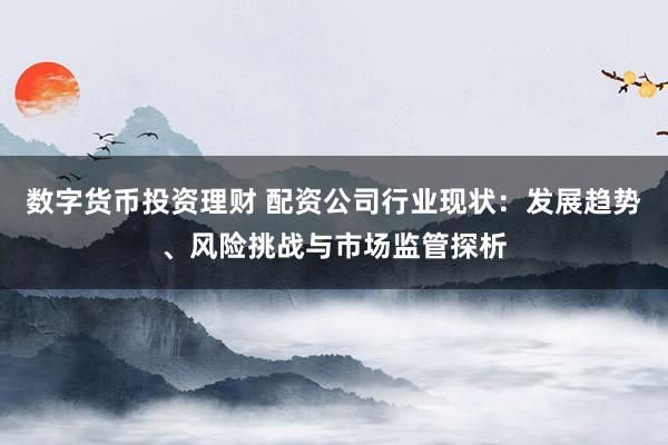 数字货币投资理财 配资公司行业现状：发展趋势、风险挑战与市场监管探析