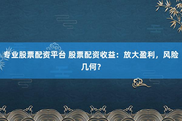 专业股票配资平台 股票配资收益：放大盈利，风险几何？