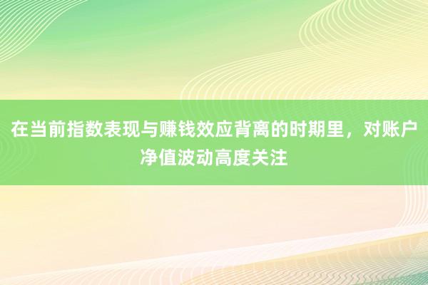在当前指数表现与赚钱效应背离的时期里，对账户净值波动高度关注