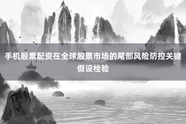 手机股票配资在全球股票市场的尾部风险防控关键假设检验