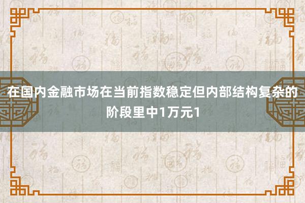 在国内金融市场在当前指数稳定但内部结构复杂的阶段里中1万元1
