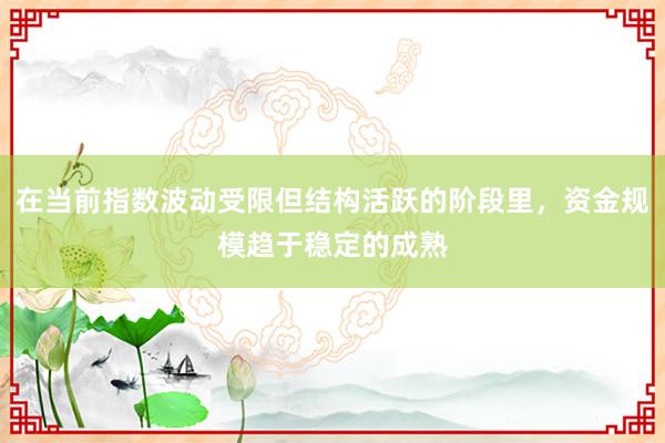 在当前指数波动受限但结构活跃的阶段里，资金规模趋于稳定的成熟