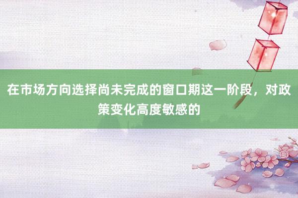 在市场方向选择尚未完成的窗口期这一阶段，对政策变化高度敏感的