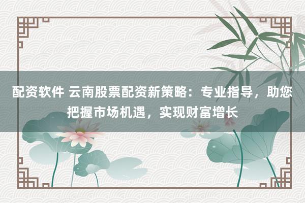 配资软件 云南股票配资新策略：专业指导，助您把握市场机遇，实现财富增长